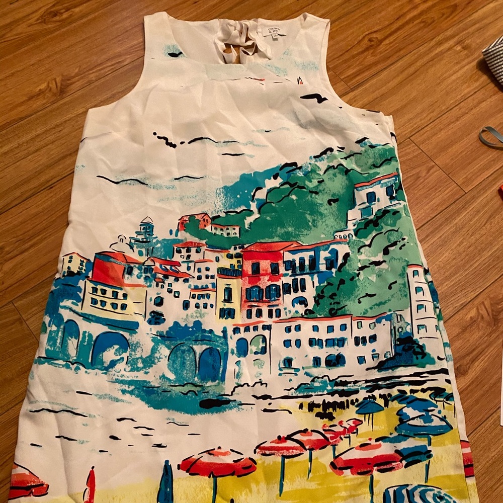 Crown and ivy dress